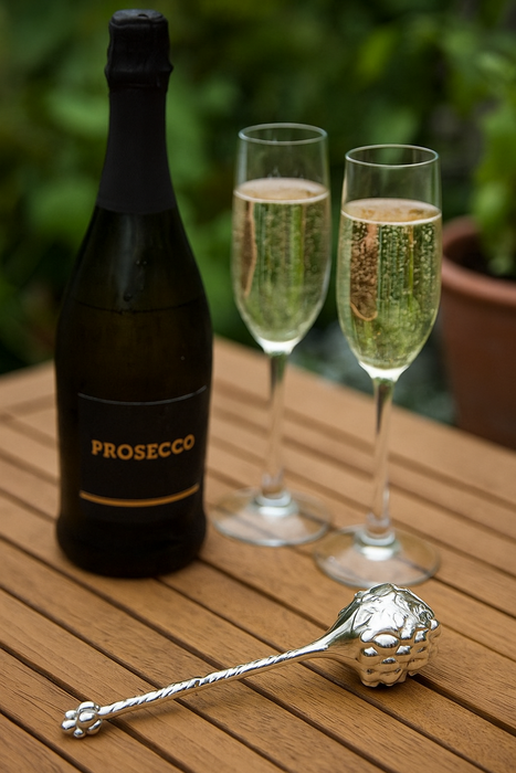 Bubble Keeper - Champagne Cava Prosecco Fizz-Grape
