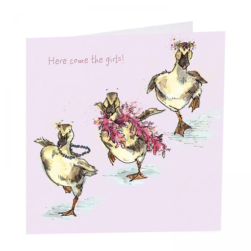 Duck Card - Here come the girls!