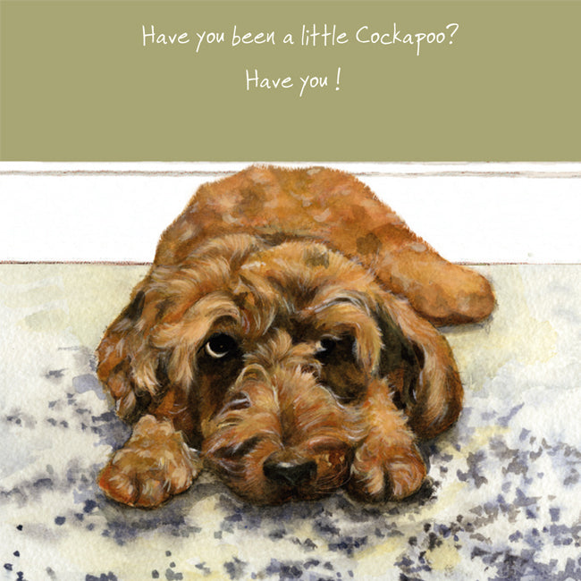 Cockapoo Card - Have you been a little Cockapoo? Have you! From The Little Dog Laughed