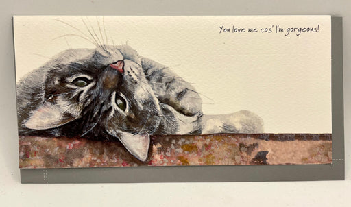 Cat Card - You love me cos I'm gorgeous! - From The Little Dog Laughed