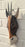Hand Carved Gazelle Tribal Mask - 30cm