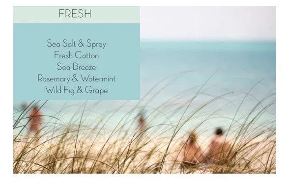 Fresh Collection - GingerInteriors.co.uk