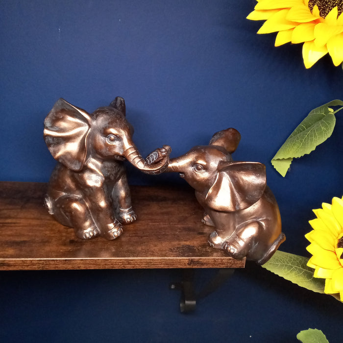 Elephants Playing