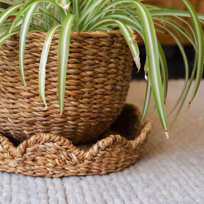 Bangali Seagrass Storage Baskets with Lid – Set of 3 Woven Baskets