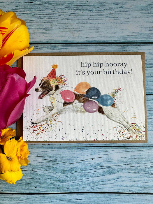 Birthday Spaniel |  Eco Friendly Card  Cute Colourful Dog