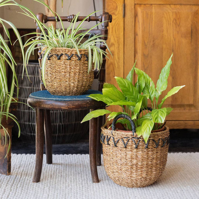 Haora Seagrass Baskets Set of 3 with Black Detail | Handwoven Natural Storage