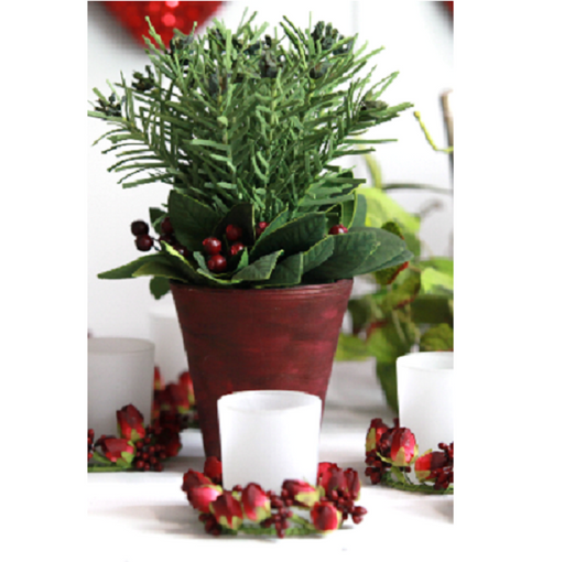 Potted Fir Berries Christmas Table Arrangement