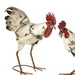 Standing Metal Cockerel - Garden Ornament - GingerInteriors.co.uk