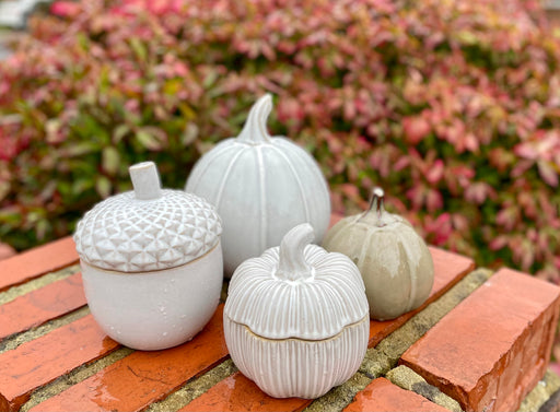 Ceramic Acorn Pot with Lid