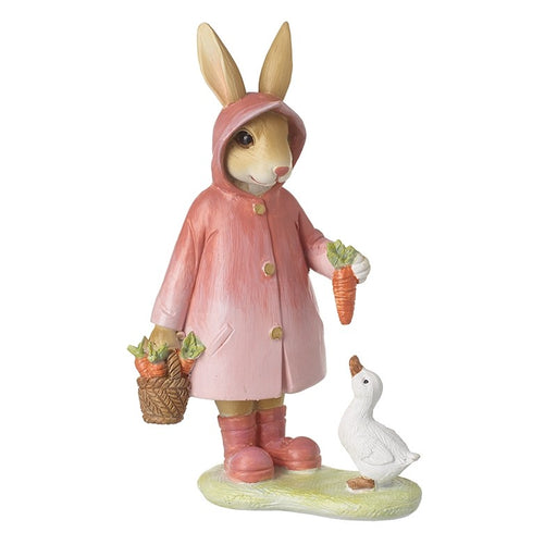 Rabbit In Raincoat With Duck