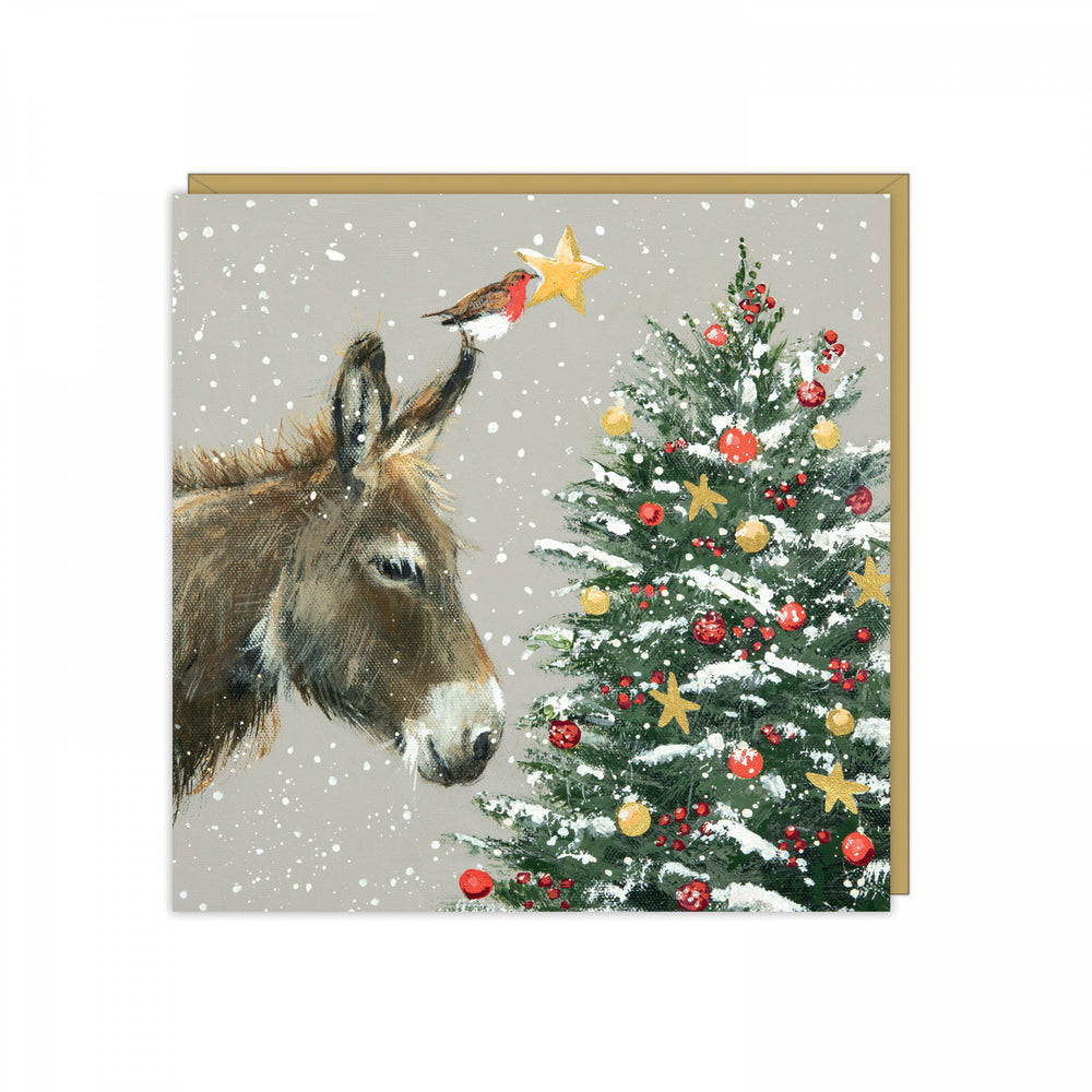 Donkey Christmas Cards -Wish Upon A Star- Pack of 6