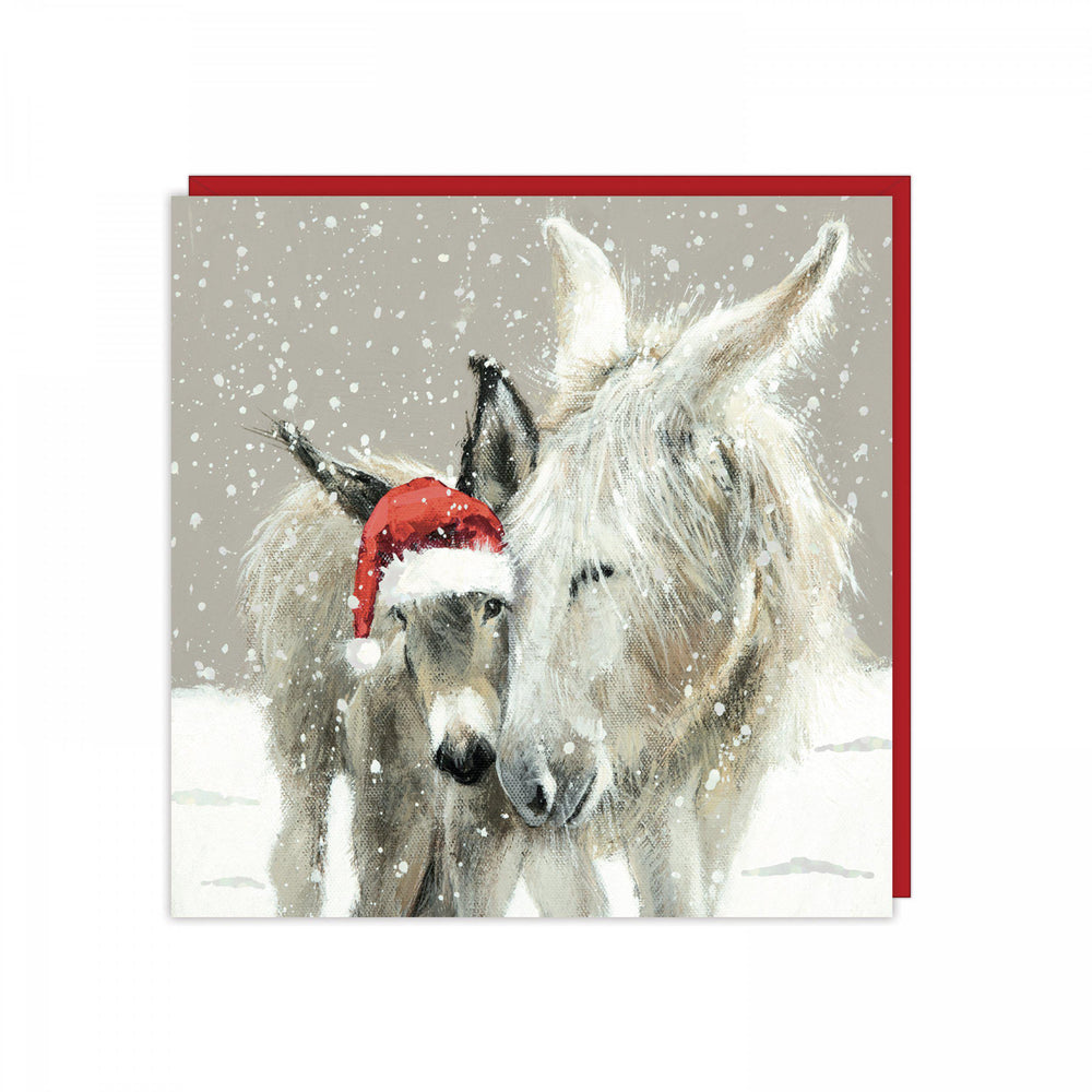 Donkey Christmas Cards -Warm Wishes - Pack of 6
