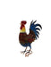 Garden metal cockerel/ hen red and blue named Isaac measuring 16 x32 x 45cm - GingerInteriors.co.uk