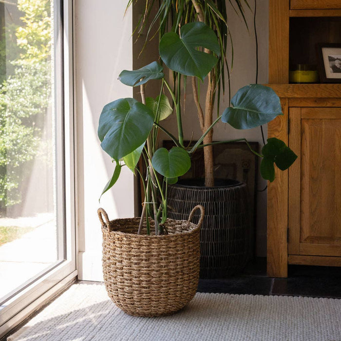 Banar Handwoven Seagrass Basket Set of 2 – Natural & Bleached Seagrass.