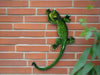 Green Gecko Wall Decor - Small - GingerInteriors.co.uk