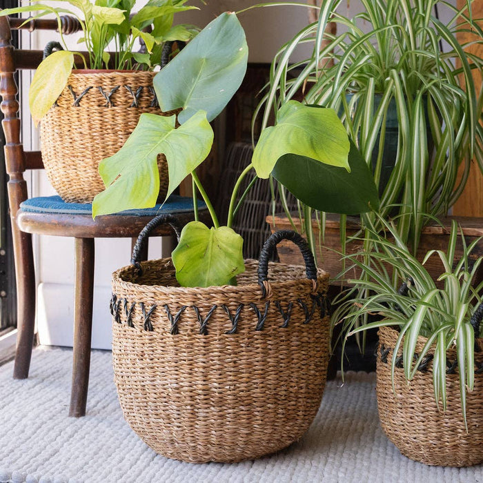 Haora Seagrass Baskets Set of 3 with Black Detail | Handwoven Natural Storage
