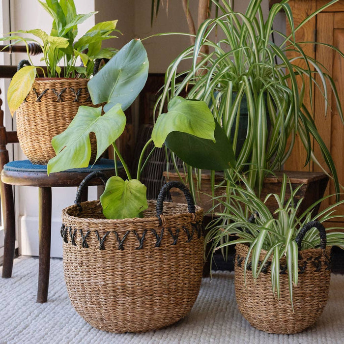 Haora Seagrass Baskets Set of 3 with Black Detail | Handwoven Natural Storage