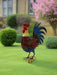 Garden metal cockerel/ hen red and blue named Isaac measuring 16 x32 x 45cm - GingerInteriors.co.uk