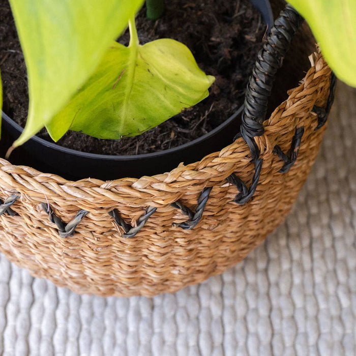 Haora Seagrass Baskets Set of 3 with Black Detail | Handwoven Natural Storage
