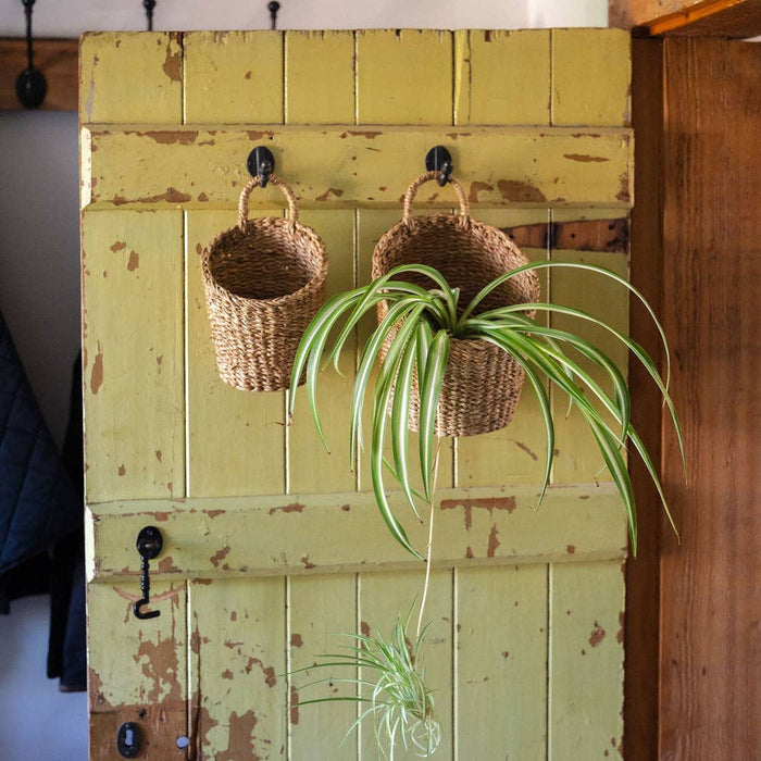 Kompo Seagrass Hanging Storage Baskets Set of 2 | Natural Wall Baskets with Handles