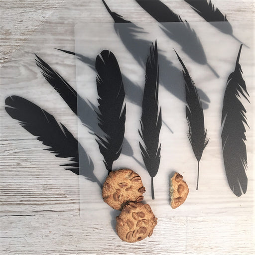 Feathers Wipeable PVC Placemat Set