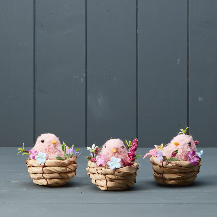 Three Birds In A Nest