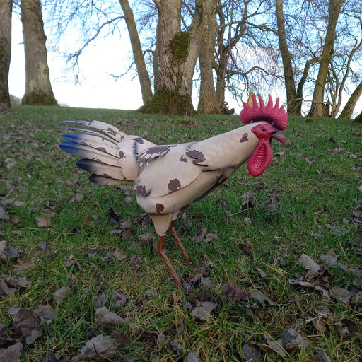 Standing Metal Cockerel - Garden Ornament - GingerInteriors.co.uk