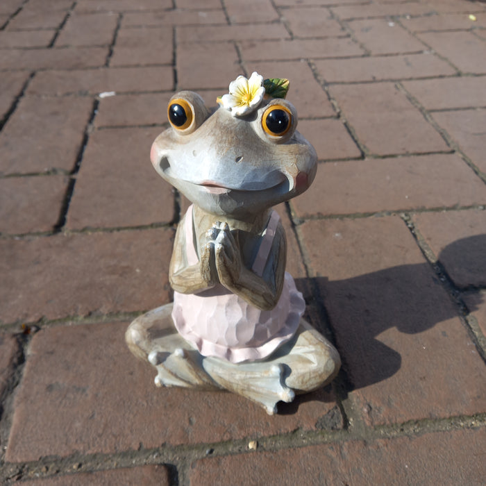Meditation Frogs Mix