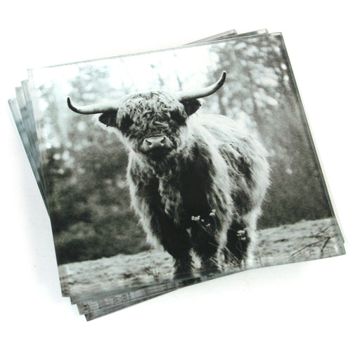 Highland Cow Coasters - Set of 4