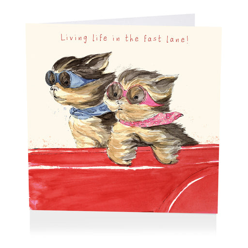 Dog Birthday Card