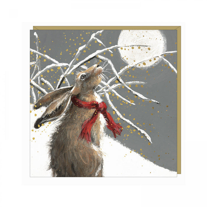 Hare Christmas Cards - Upon Reflection