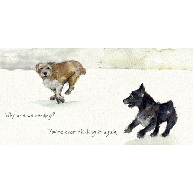Patterdale & Norfolk Terrier Card - Why are we running? - From The Little Dog Laughed