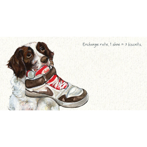 Springer Spaniel Card - Exchange rate - From The Little Dog Laughed