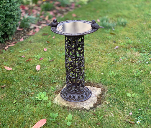 Bird Bath