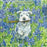 Lakeland Terrier Card - Panic over I've found it - From The Little Dog Laughed