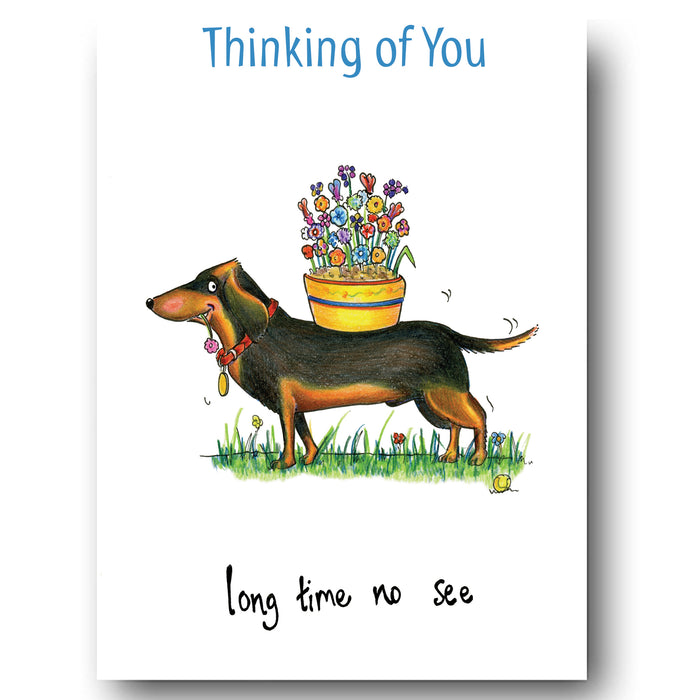 Thinking of You Dachshund Card - Long Time No See