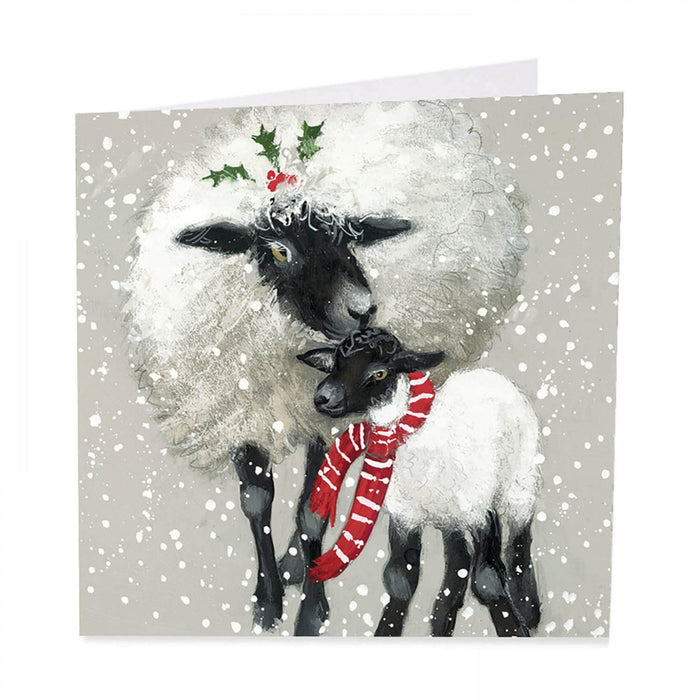 Sheep Christmas Cards - Dressed for Winter - Pack of 6