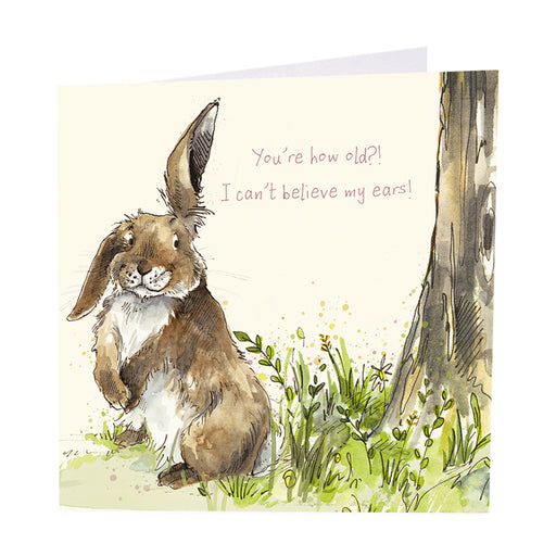 Hare Card - You're How Old?!  I Can't Believe My Ears!