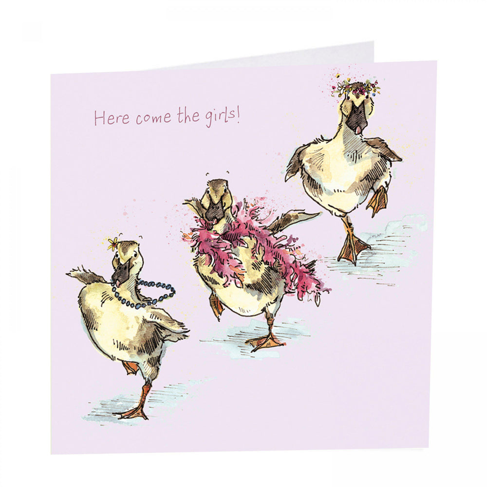 Duck Card - Here come the girls!