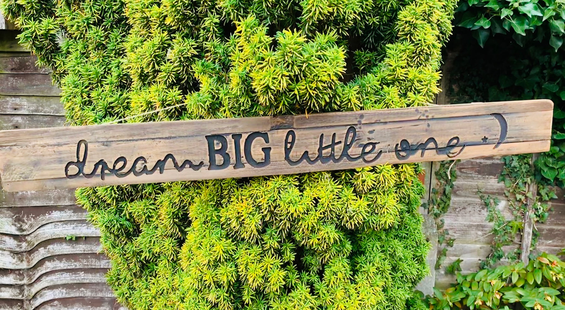 Large Dream Big Rustic Wooden Message Plaque