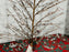 Silver Berry Glitter Christmas Tree 60cm