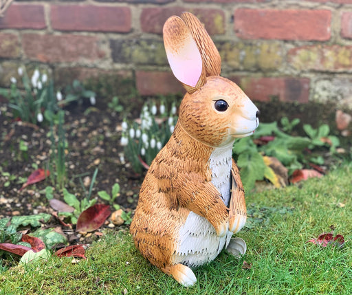 Garden Animals - Rabbit - Woodland Friends