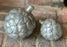 Silver Decorative Artichoke