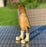 Bamboo Duck Family with Flower Painted Boots - Yellow