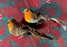 Pair of Robins on Clips - Christmas Tree Decorations