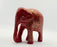 Stargazer Elephants - Honest Love Our Planet