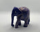 Stargazer Elephants - Honest Love Our Planet