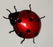 Ladybird Metal Wall Art - 20cm