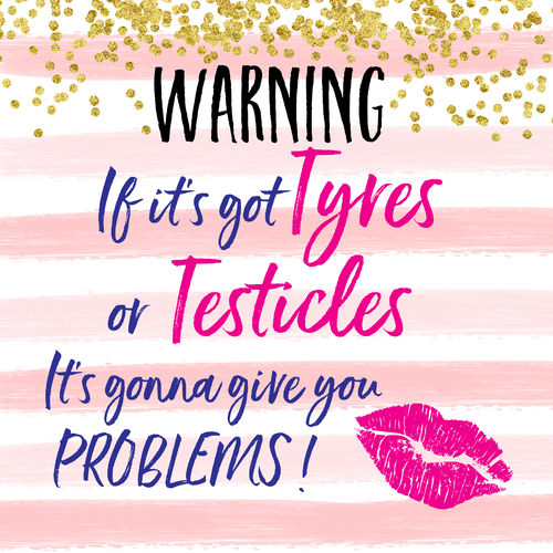Hilarious Cards By Lisa Lou - Warning if its got Tyres or Testicles its gonna give you Problems!