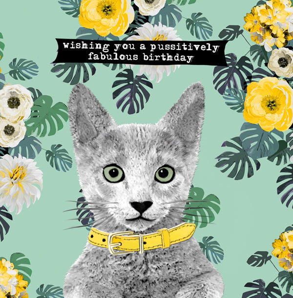 Cat Birthday Card, Wishing you a pussitively fabulous birthday- From Sally Scaffardi Design - New For 22